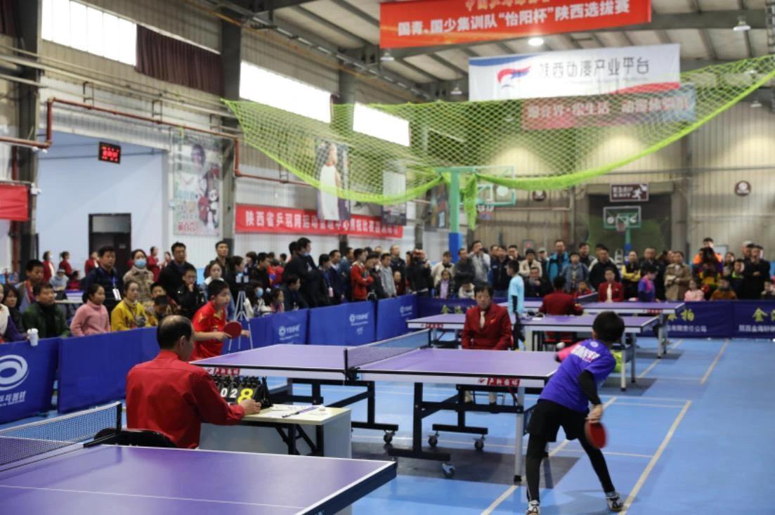 张路的分析 张路的分析